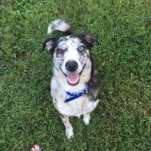 Meet your Posher, Haley